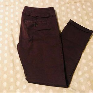 American Eagle AE Skinny Pants 4P/4 Short